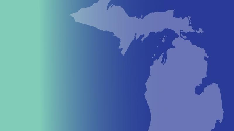 An image of the shape of the state of Michigan, in MCAN's brand colors of mint green and blue.