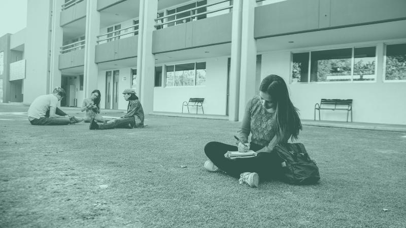 Image of college students sitting on a school lawn doing homework.