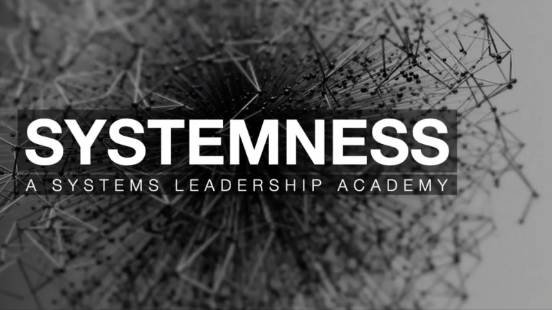 "SYSTEMNESS" in white text over a black cracking background.